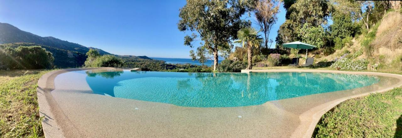 Studio, Vue Sur Mer Et Montagne Saint-Florent  Exterior photo